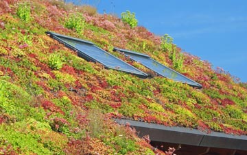 Bradaford living roof systems