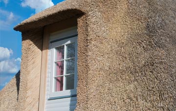 Bradaford thatch roof disadvantages